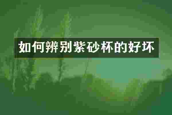 如何辨别紫砂杯的好坏