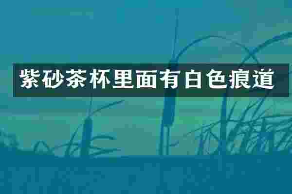 紫砂茶杯里面有白色痕道