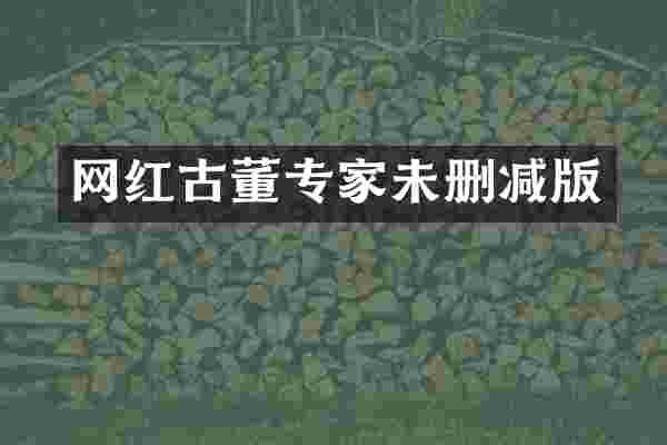 网红古董专家未删减版