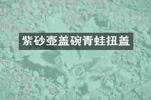 紫砂壶盖碗青蛙扭盖