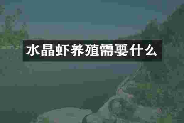 水晶虾养殖需要什么