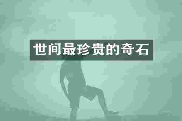 世间最珍贵的奇石