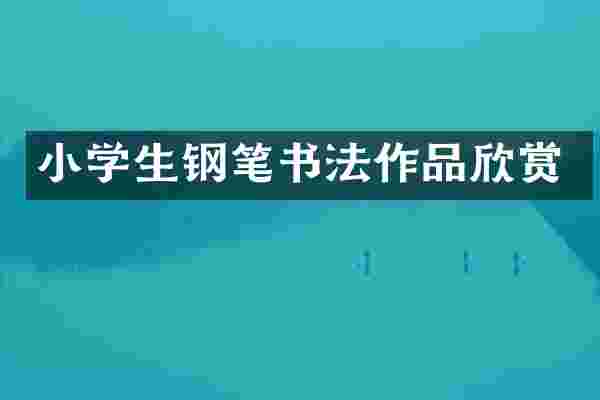 小学生钢笔书法作品欣赏