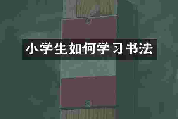 小学生如何学习书法