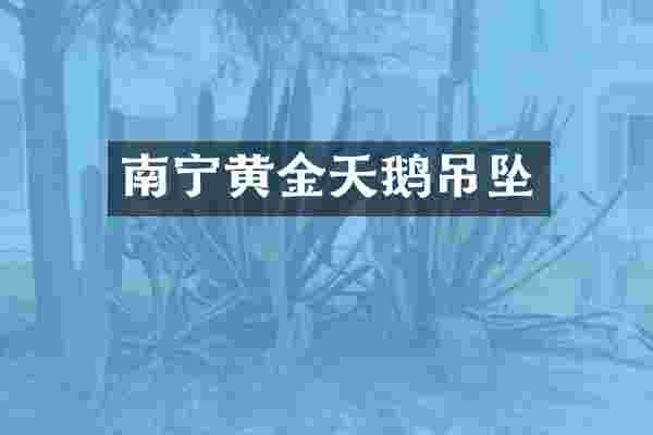 南宁黄金天鹅吊坠