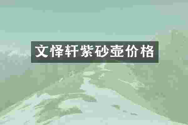 文怿轩紫砂壶价格