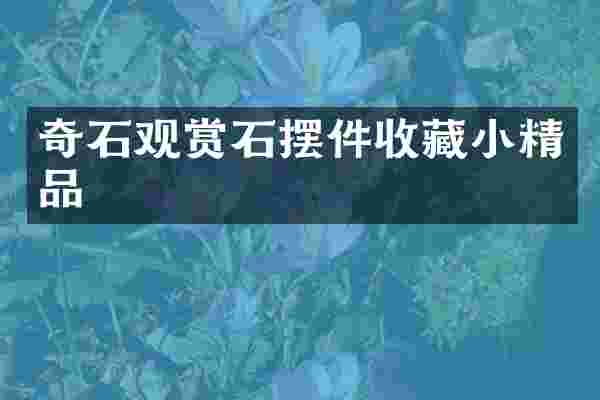 奇石观赏石摆件收藏小精品