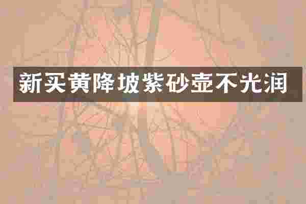 新买黄降坡紫砂壶不光润