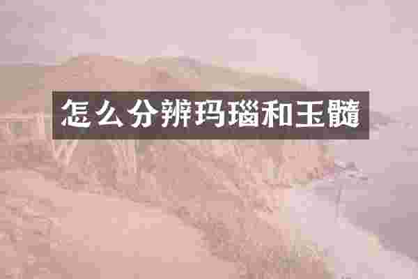 怎么分辨玛瑙和玉髓