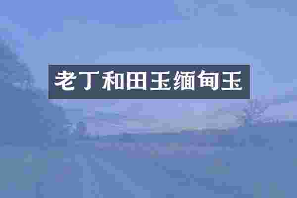老丁和田玉缅甸玉