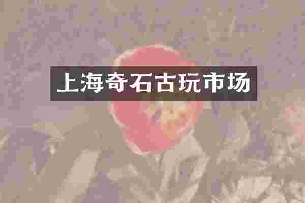 上海奇石古玩市场