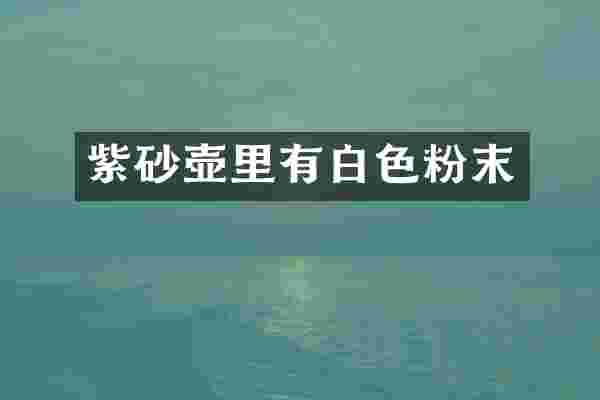 紫砂壶里有白色粉末