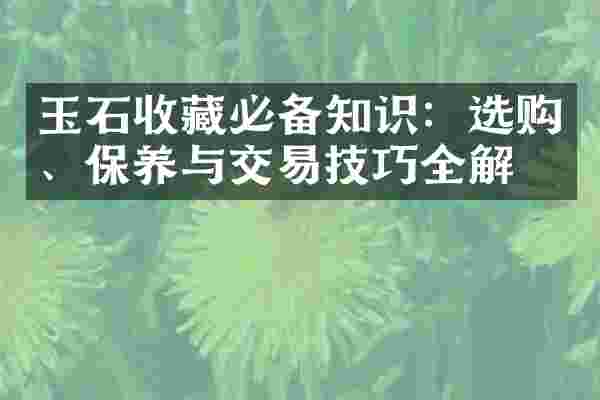 玉石收藏必备知识：选购、保养与交易技巧全解析