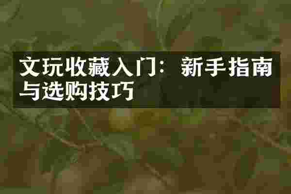 文玩收藏入门：新手指南与选购技巧