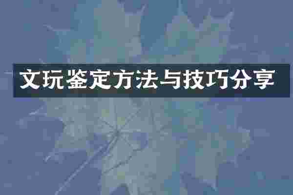 文玩鉴定方法与技巧分享