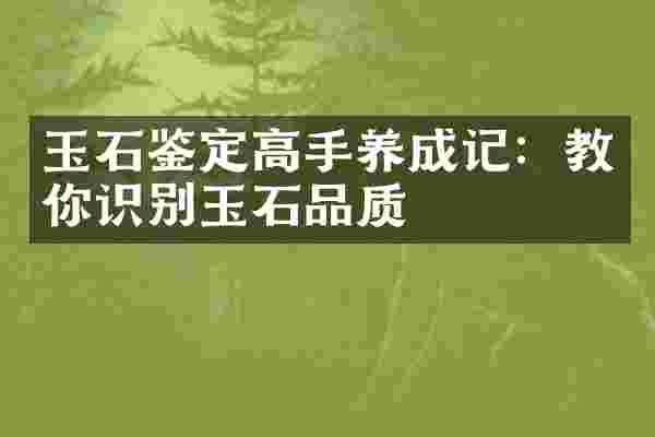 玉石鉴定高手养成记：教你识别玉石品质