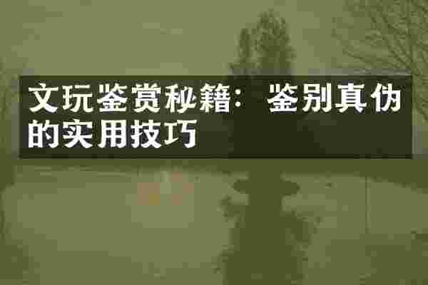 文玩鉴赏秘籍：鉴别真伪的实用技巧
