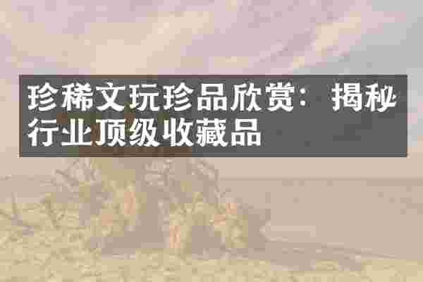 珍稀文玩珍品欣赏：揭秘行业顶级收藏品
