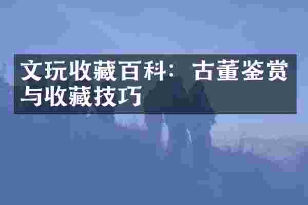 文玩收藏百科：古董鉴赏与收藏技巧