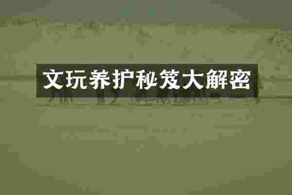 文玩养护秘笈大解密