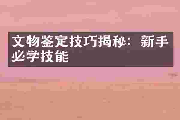 文物鉴定技巧揭秘：新手必学技能