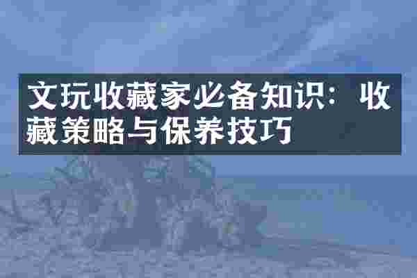 文玩收藏家必备知识：收藏策略与保养技巧