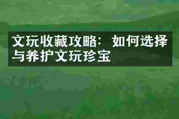 文玩收藏攻略：如何选择与养护文玩珍宝