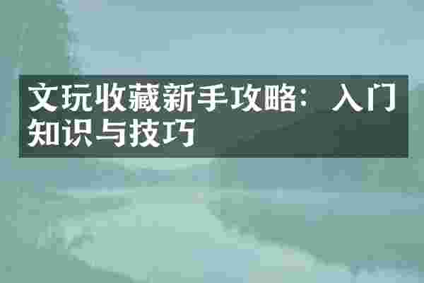 文玩收藏新手攻略：入门知识与技巧