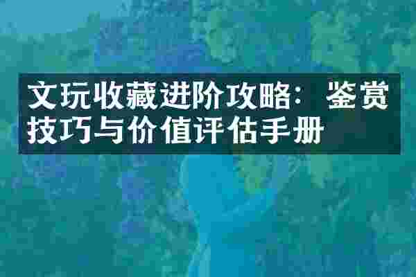 文玩收藏进阶攻略：鉴赏技巧与价值评估手册
