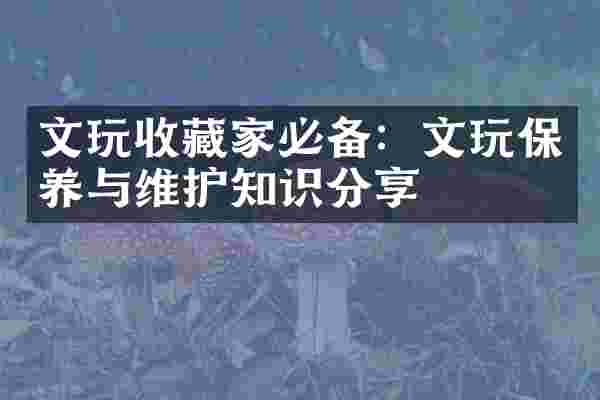 文玩收藏家必备：文玩保养与维护知识分享