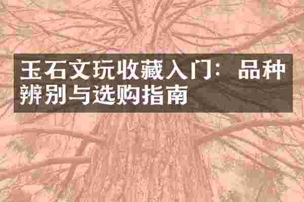 玉石文玩收藏入门：品种辨别与选购指南
