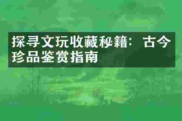 探寻文玩收藏秘籍：古今珍品鉴赏指南