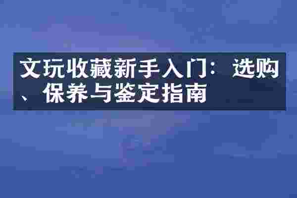 文玩收藏新手入门：选购、保养与鉴定指南