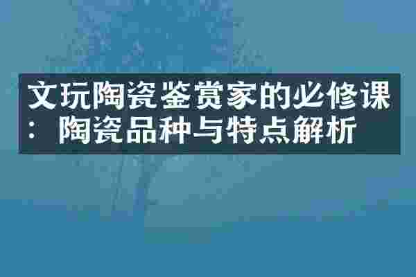 文玩陶瓷鉴赏家的必修课：陶瓷品种与特点解析