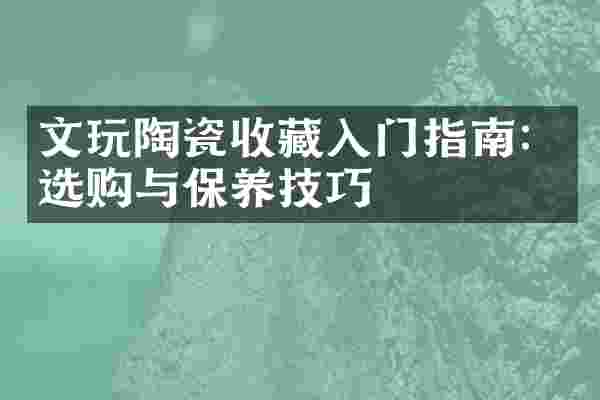 文玩陶瓷收藏入门指南：选购与保养技巧