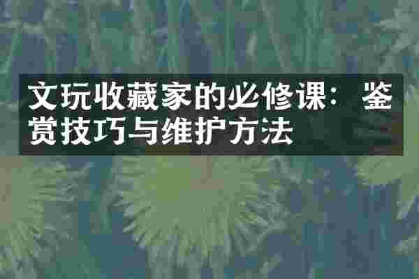 文玩收藏家的必修课：鉴赏技巧与维护方法