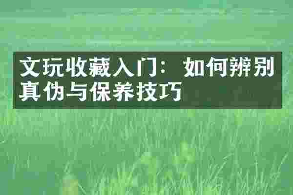 文玩收藏入门：如何辨别真伪与保养技巧