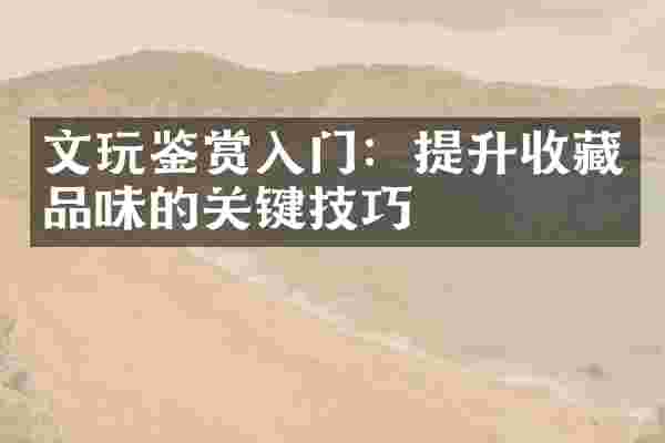 文玩鉴赏入门：提升收藏品味的关键技巧