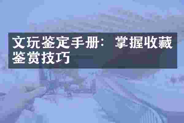 文玩鉴定手册：掌握收藏鉴赏技巧