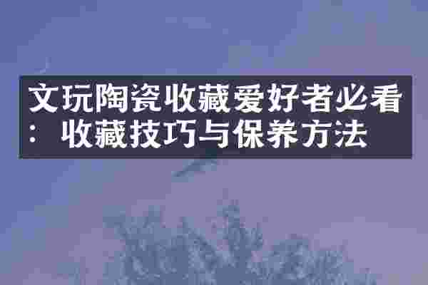 文玩陶瓷收藏爱好者必看：收藏技巧与保养方法