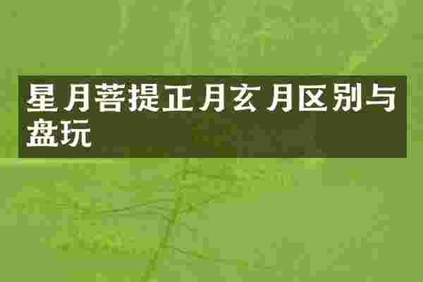 星月菩提正月玄月区别与盘玩