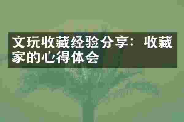 文玩收藏经验分享：收藏家的心得体会