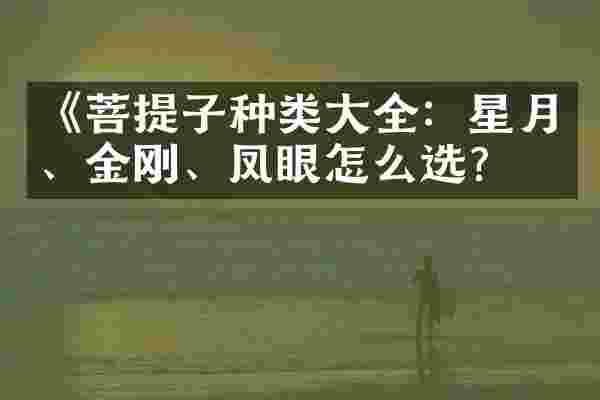 《菩提子种类大全：星月、金刚、凤眼怎么选？》