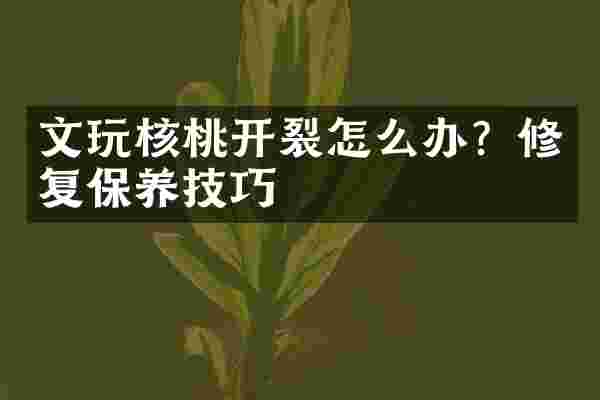 文玩核桃开裂怎么办？修复保养技巧