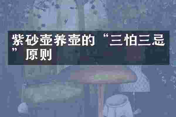 紫砂壶养壶的“三怕三忌”原则