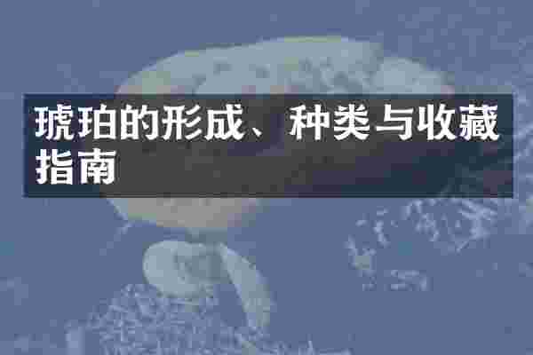 琥珀的形成、种类与收藏指南