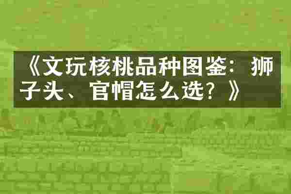 《文玩核桃品种图鉴：狮子头、官帽怎么选？》