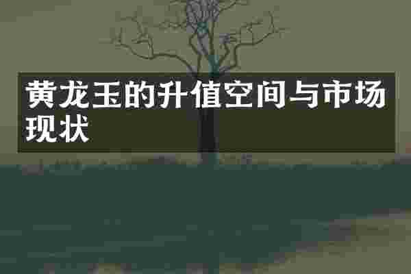 黄龙玉的升值空间与市场现状