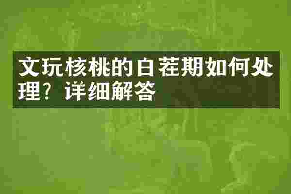 文玩核桃的白茬期如何处理？详细解答