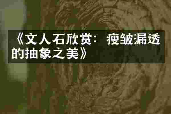 《文人石欣赏：瘦皱漏透的抽象之美》